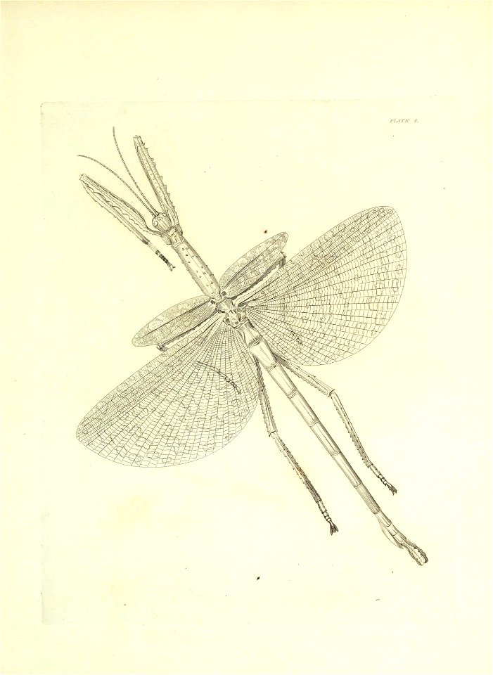 n286_w1150