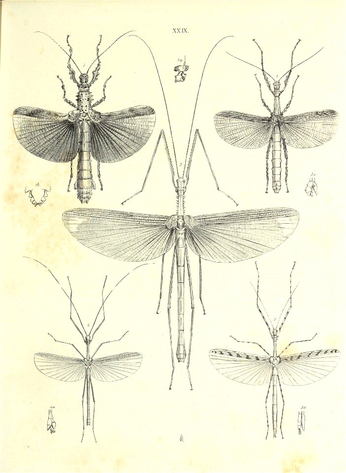 n256_w1150
