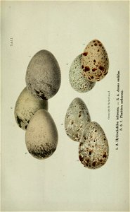 n612_w1150