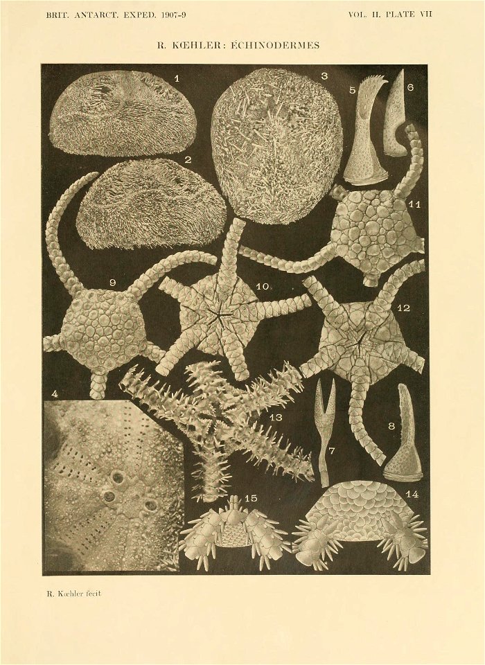 n58_w1150
