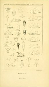 n698_w1150