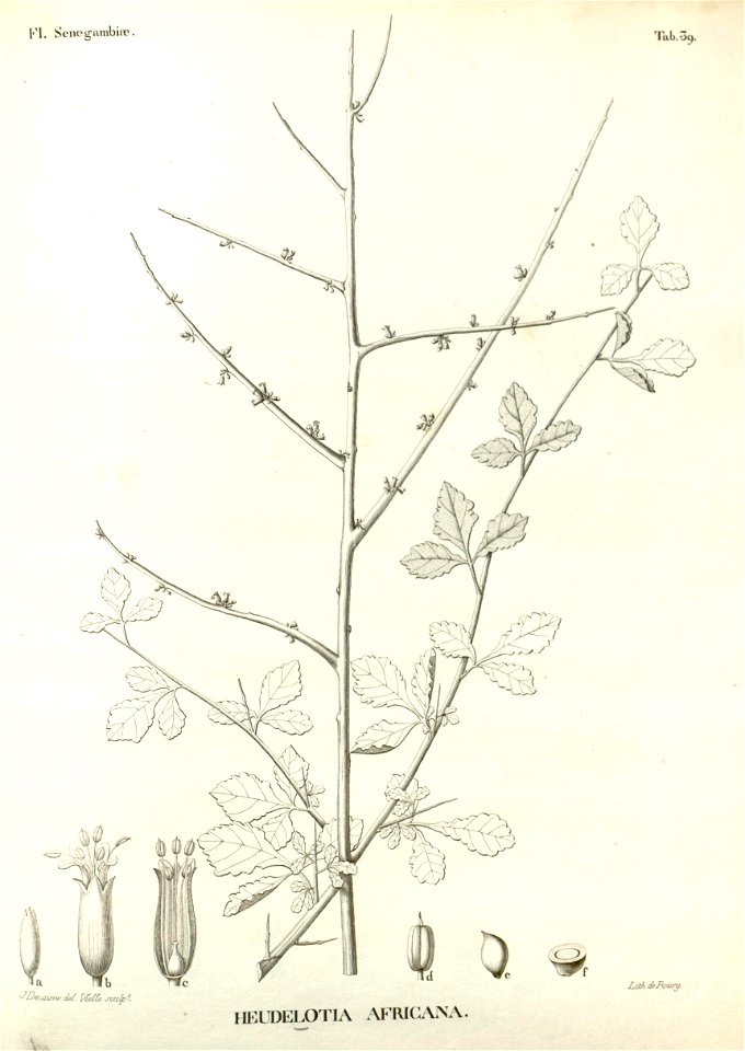n369_w1150