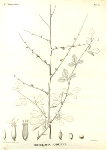 n369_w1150
