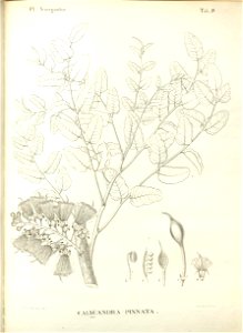 n339_w1150