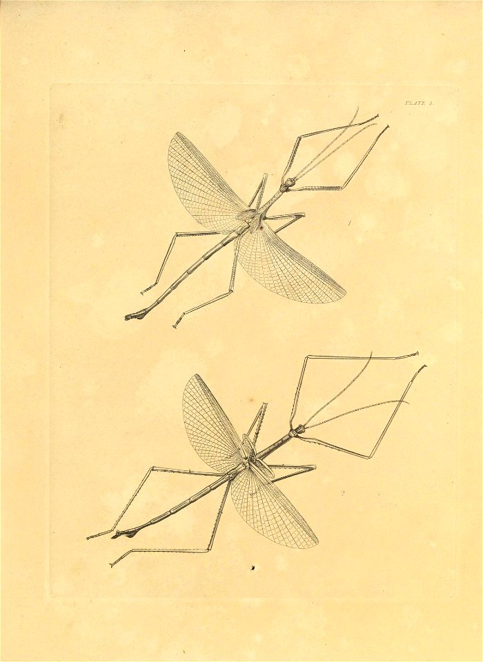 n280_w1150