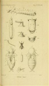 n796_w1150