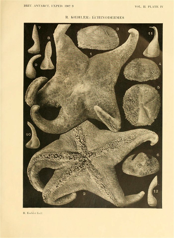n46_w1150