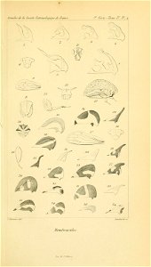 n692_w1150