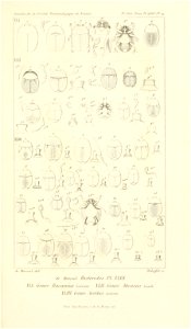n792_w1150