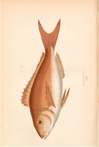n353_w1150
