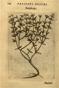 n158_w1150