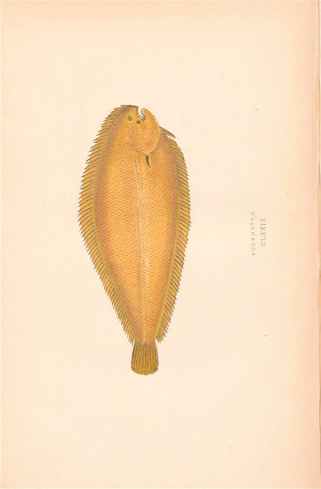 n331_w1150