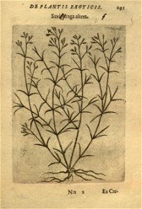 n305_w1150