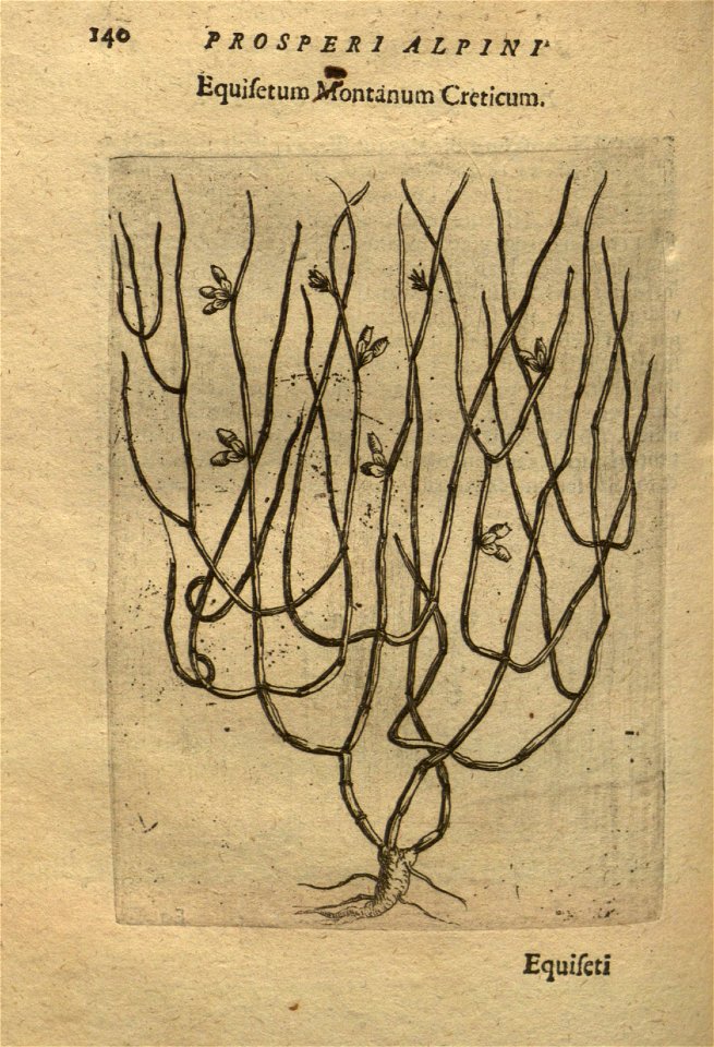 n154_w1150