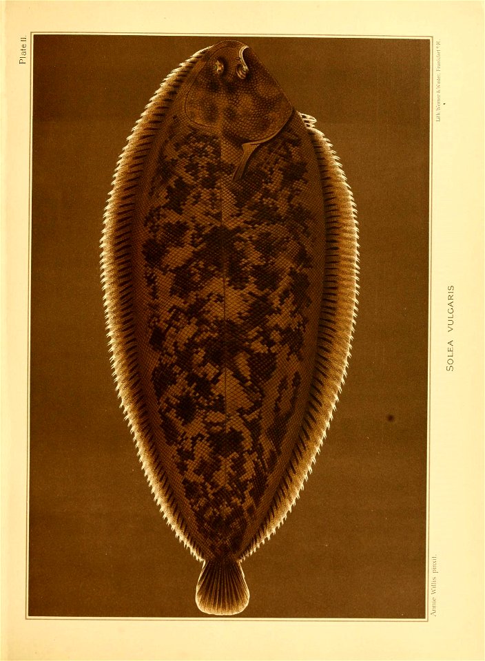 n168_w1150