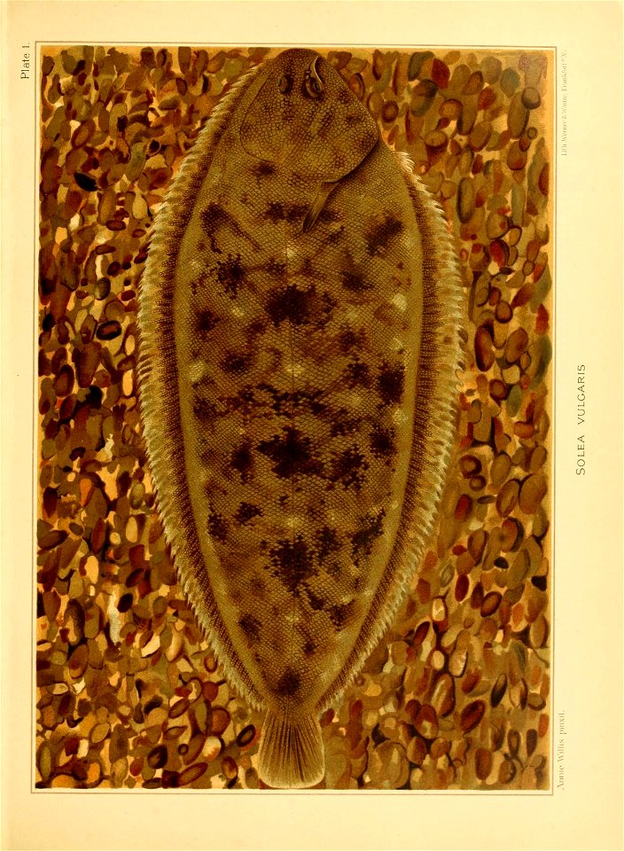 n164_w1150