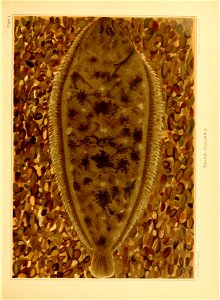 n164_w1150