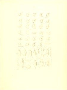 n54_w1150