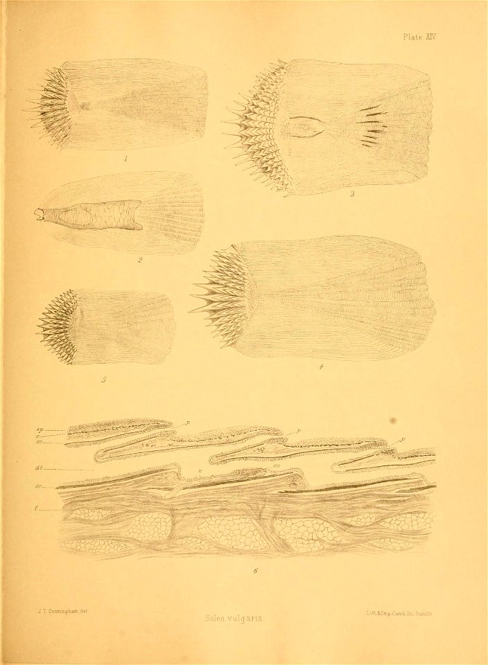 n218_w1150