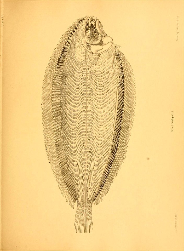 n210_w1150