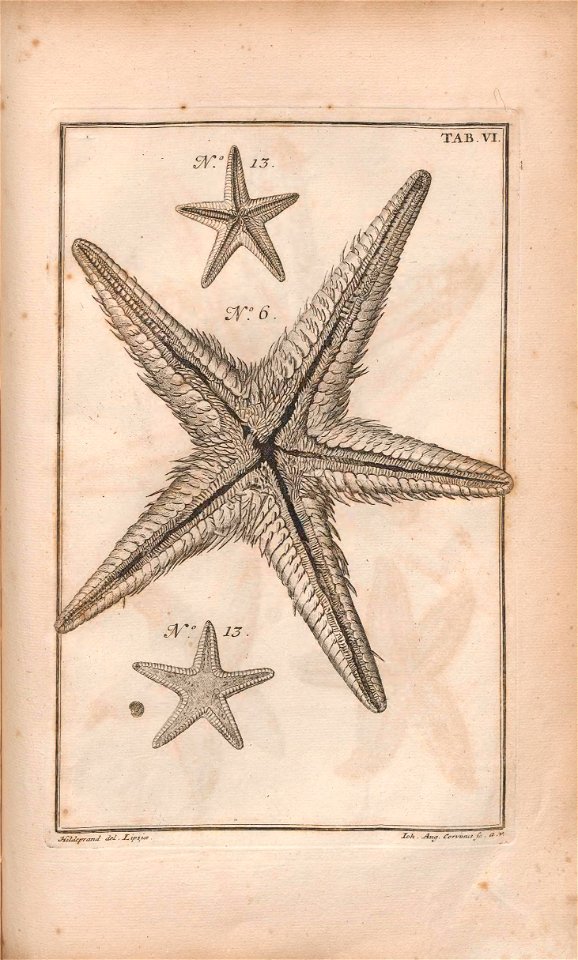 n152_w1150