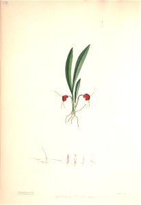 n139_w1150