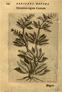 n156_w1150
