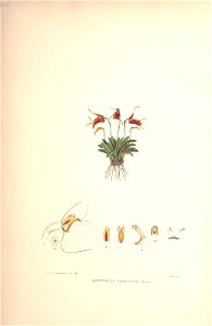 n269_w1150