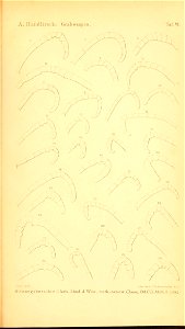 n1048_w1150