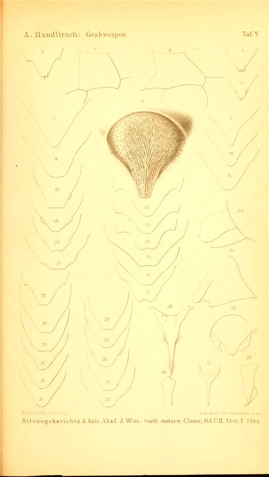 n1046_w1150