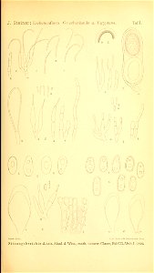 n202_w1150