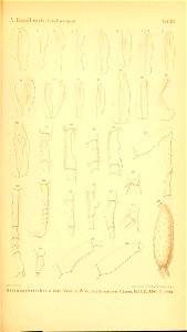 n1042_w1150