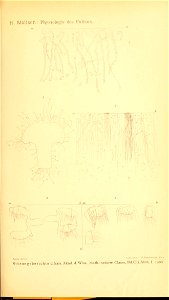 n508_w1150
