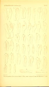 n1040_w1150