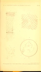 n478_w1150