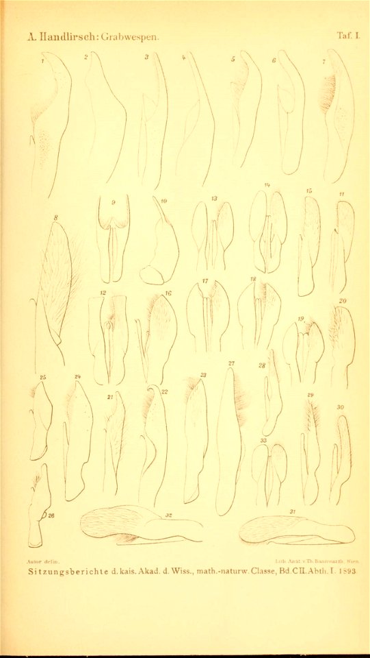 n1038_w1150
