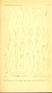 n1038_w1150