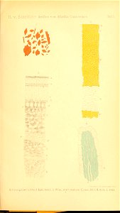 n476_w1150