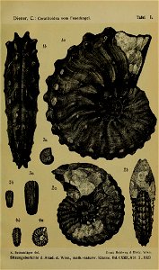n656_w1150