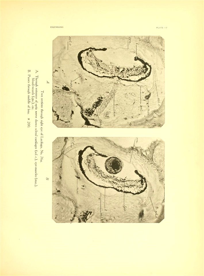 n262_w1150
