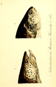 n122_w1150