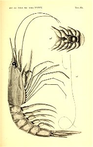 n166_w1150