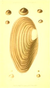 n9_w1150