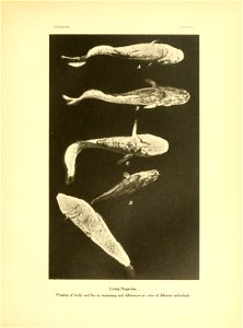n248_w1150