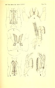 n154_w1150