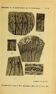 n222_w1150