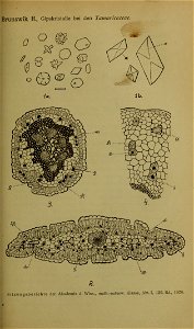n148_w1150