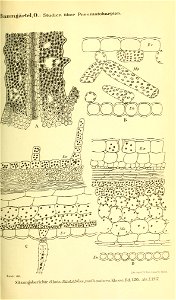 n56_w1150