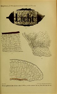 n1298_w1150