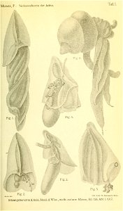 n822_w1150